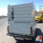 HassanGadimi0098